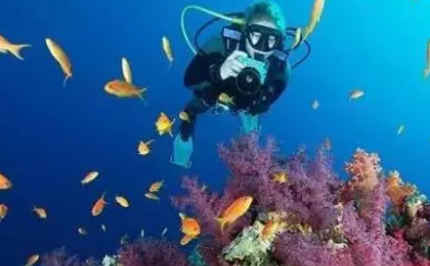 水下摄影 水下摄影